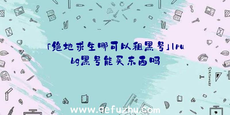 「绝地求生哪可以租黑号」|pubg黑号能买东西吗